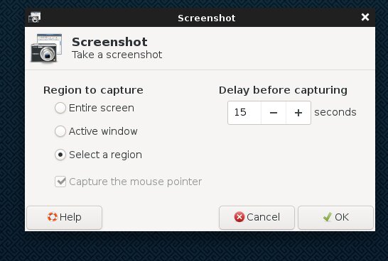 Screen Shot Timer delay