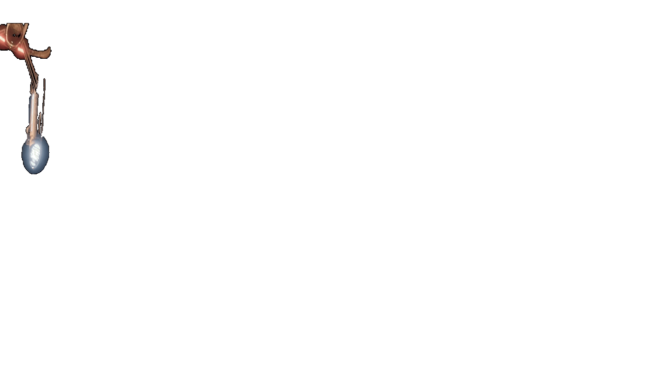 Trans-vessel